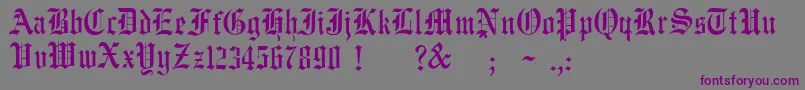 JmhWulfilaNew Font – Purple Fonts on Gray Background