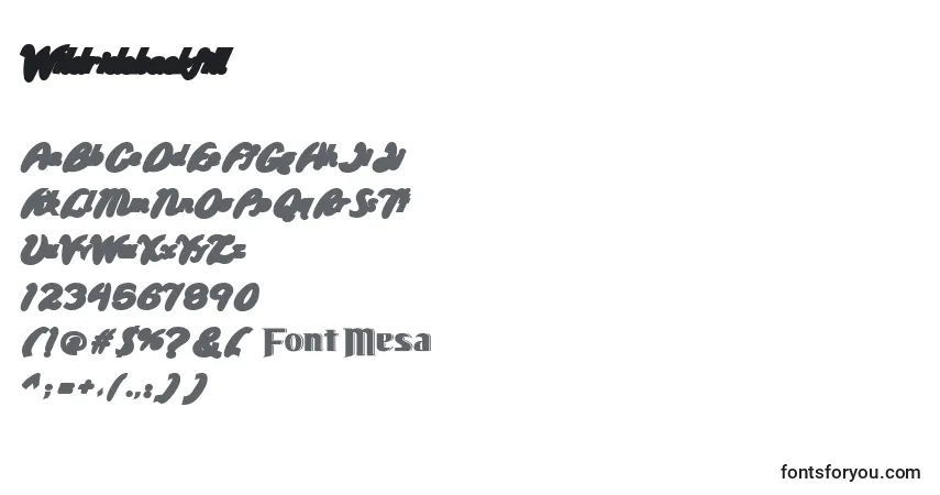 characters of wildridebackfill font, letter of wildridebackfill font, alphabet of  wildridebackfill font