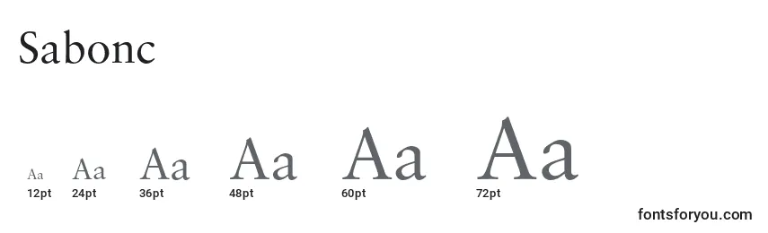 sizes of sabonc font, sabonc sizes