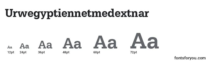 sizes of urwegyptiennetmedextnar font, urwegyptiennetmedextnar sizes
