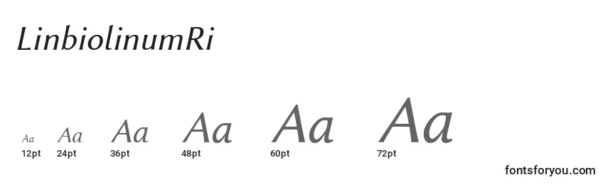 sizes of linbiolinumri font, linbiolinumri sizes