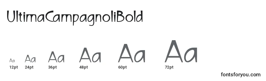 sizes of ultimacampagnolibold font, ultimacampagnolibold sizes