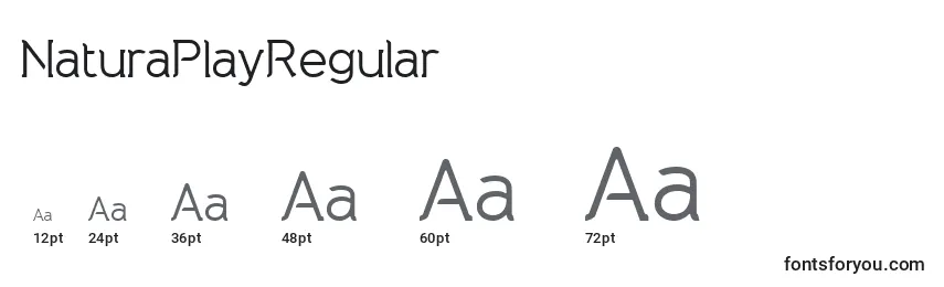 sizes of naturaplayregular font, naturaplayregular sizes