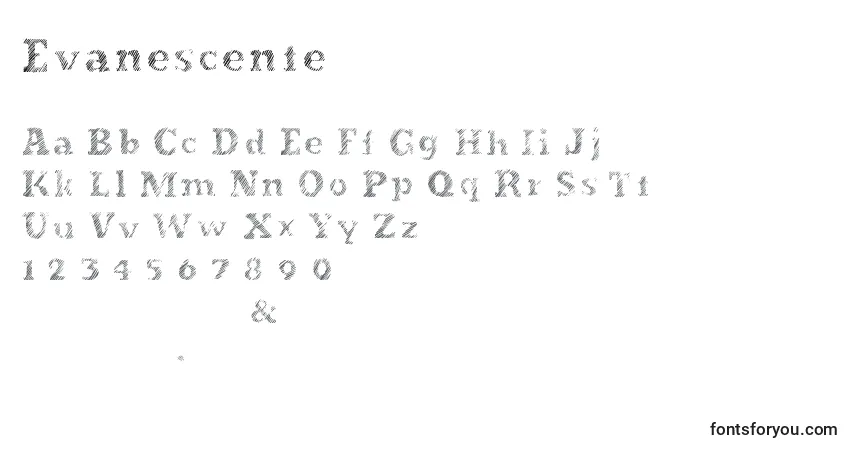 characters of evanescente font, letter of evanescente font, alphabet of  evanescente font