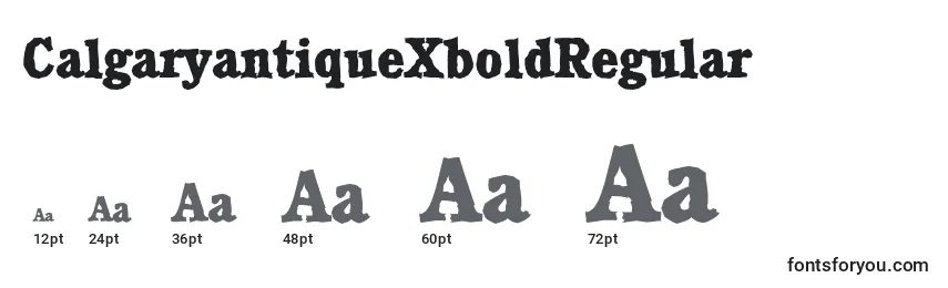 sizes of calgaryantiquexboldregular font, calgaryantiquexboldregular sizes