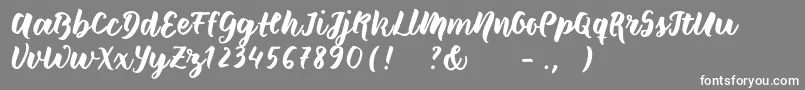 Wildcreaturessample Font – White Fonts on Gray Background