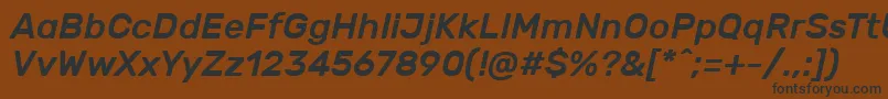 RubikMediumitalic Font – Black Fonts on Brown Background