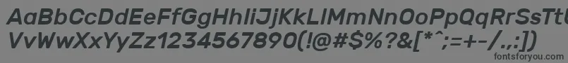 Police RubikMediumitalic – polices noires sur fond gris