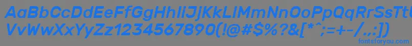 フォントRubikMediumitalic – 灰色の背景に青い文字