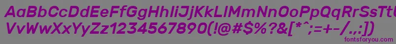 RubikMediumitalic Font – Purple Fonts on Gray Background