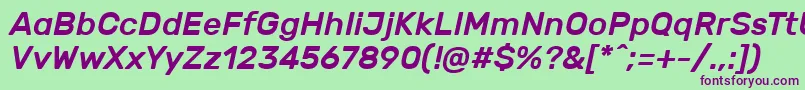 RubikMediumitalic Font – Purple Fonts on Green Background
