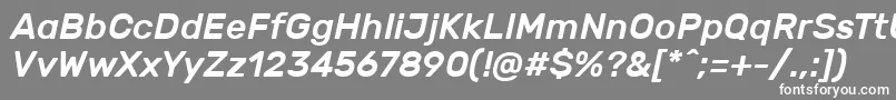 フォントRubikMediumitalic – 灰色の背景に白い文字