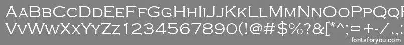 Copperplatetlig Font – White Fonts on Gray Background