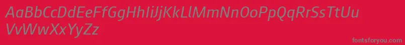 Augustsans56regularitalic Font – Gray Fonts on Red Background