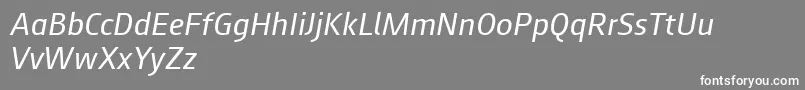 フォントAugustsans56regularitalic – 灰色の背景に白い文字