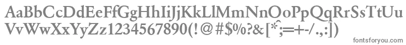 ClassicgarfeldBold Font – Gray Fonts on White Background