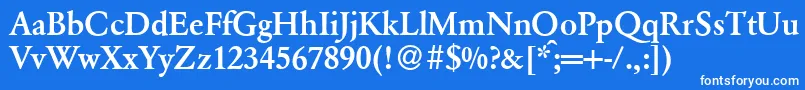 ClassicgarfeldBold Font – White Fonts on Blue Background