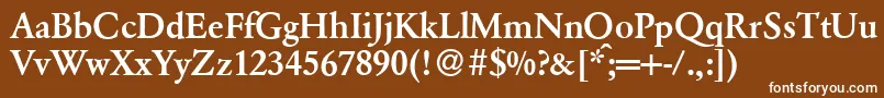 ClassicgarfeldBold Font – White Fonts on Brown Background