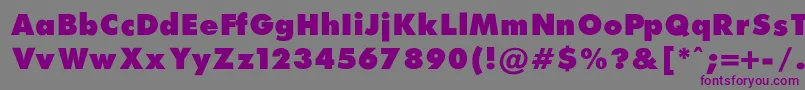 FuturaExtraBlackNormalRegular Font – Purple Fonts on Gray Background