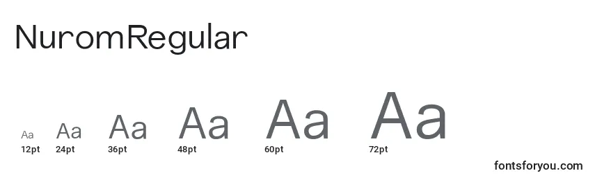 NuromRegular Font Sizes