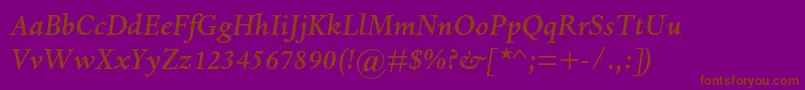 DantemtstdMediumitalic Font – Brown Fonts on Purple Background