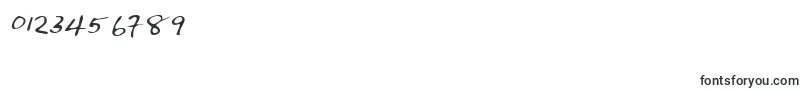 More about Lehn144 Font Lehn144 Font – Fonts for Numbers and Digits