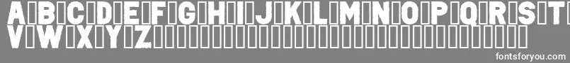PunkRockColorFill-Schriftart – Weiße Schriften auf grauem Hintergrund