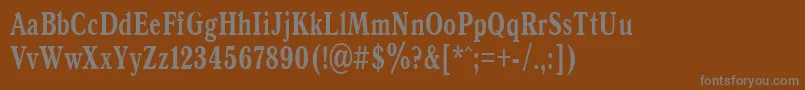 AntiquaBold70b Font – Gray Fonts on Brown Background