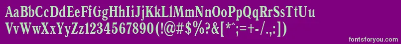 AntiquaBold70b Font – Green Fonts on Purple Background