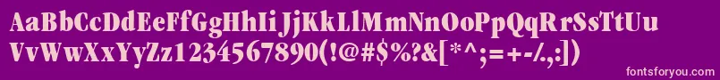Garamondexblackcondssk Font – Pink Fonts on Purple Background