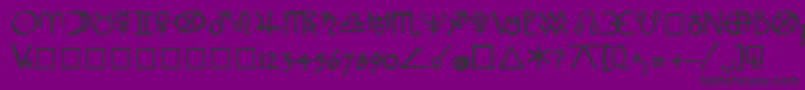 WidgetBold Font – Black Fonts on Purple Background