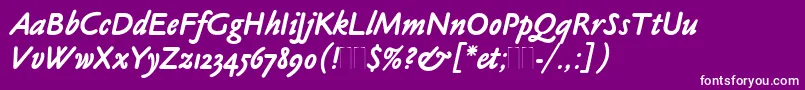 ClaudeSansBoldItalicPlain Font – White Fonts on Purple Background
