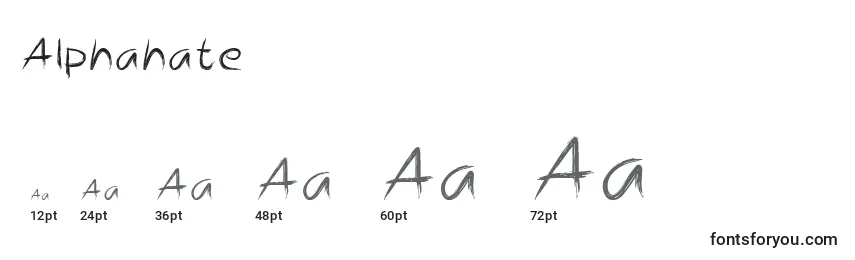 Größen der Schriftart Alphahate