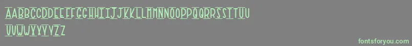 PaperTowel Font – Green Fonts on Gray Background
