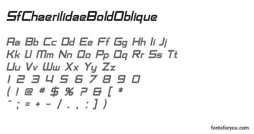 A fonte SfChaerilidaeBoldOblique – alfabeto, números, caracteres especiais