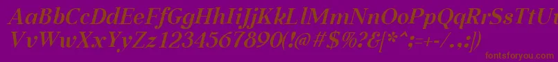 AabcedBoldItalic Font – Brown Fonts on Purple Background