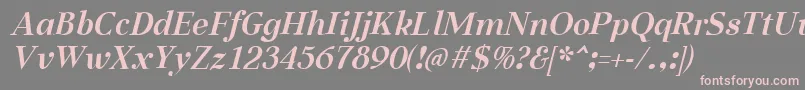 AabcedBoldItalic Font – Pink Fonts on Gray Background