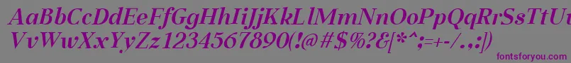 フォントAabcedBoldItalic – 紫色のフォント、灰色の背景