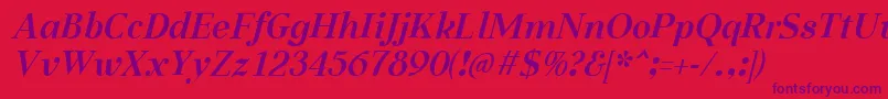 AabcedBoldItalic Font – Purple Fonts on Red Background