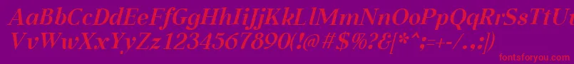 AabcedBoldItalic Font – Red Fonts on Purple Background