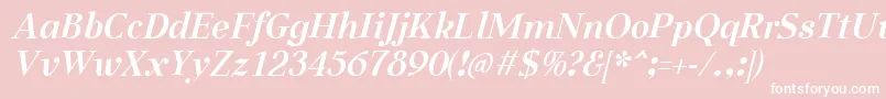 AabcedBoldItalic Font – White Fonts on Pink Background