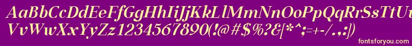 AabcedBoldItalic Font – Yellow Fonts on Purple Background