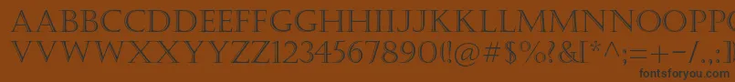 Castellarmtstd Font – Black Fonts on Brown Background