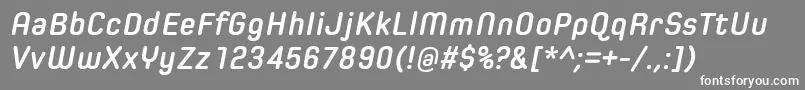 フォントSpoonBoldItalic – 灰色の背景に白い文字