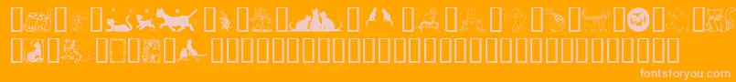 KarensKitties Font – Pink Fonts on Orange Background