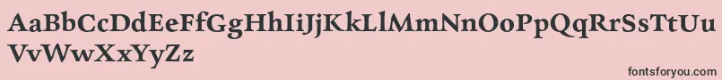 CharpentierrenredDemi-Schriftart – Schwarze Schriften auf rosa Hintergrund