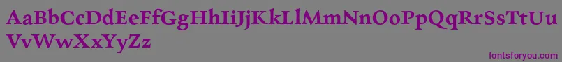 CharpentierrenredDemi-fontti – violetit fontit harmaalla taustalla