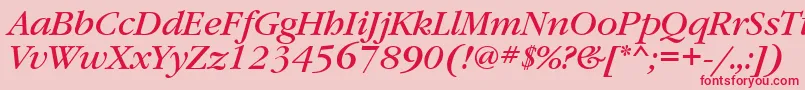 GaramondbooktttItalic Font – Red Fonts on Pink Background