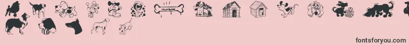 DogsCsp Font – Black Fonts on Pink Background