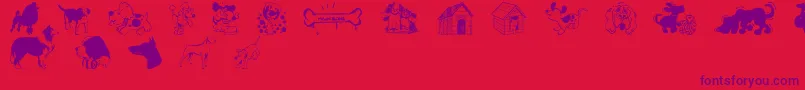 DogsCsp Font – Purple Fonts on Red Background